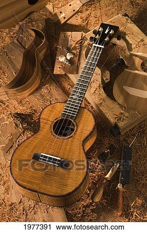 USA, Finished Kamaka Ukulele; Hawaii View Large Photo Image Stock Image - USA, Finished Kamaka Ukulele; Hawaii. Fotosearch
