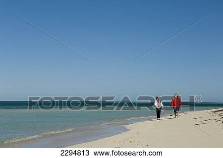 USA, Florida, Florida Keys, Couple explore white sandy beach of uninhabited mangrove island off the coast; Key West View Large Photo Image Stock Image - USA, Florida, Florida Keys, Couple explore white sandy beach of uninhabited mangrove island off the coast; Key West. Fotosearch