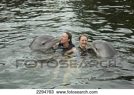 USA, Florida, Florida Keys, Dolphin and Marine Mammal Research and Education Facility; Key Largo, Young women swimming with Dolphins at Dolphin Plus View Large Photo Image Stock Image - USA, Florida, Florida Keys, Dolphin and Marine Mammal Research and Education Facility; Key Largo, Young women swimming with Dolphins at Dolphin Plus. Fotosearch