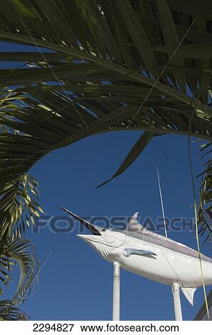 USA, Florida, Florida Keys, Marlin sign advertising fishing tours; Key West View Large Photo Image Stock Photo - USA, Florida, Florida Keys, Marlin sign advertising fishing tours; Key West. Fotosearch