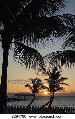Stock Image - USA, Florida, Florida Keys, Sunrise over pier and boat dock; Islamorada. Fotosearch