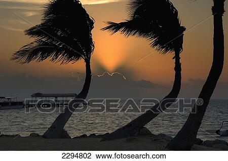 USA, Florida, Florida Keys, Sunrise over pier and boat dock at luxurious Cheeca Lodge; Islamorada View Large Photo Image Stock Image - USA, Florida, Florida Keys, Sunrise over pier and boat dock at luxurious Cheeca Lodge; Islamorada. Fotosearch