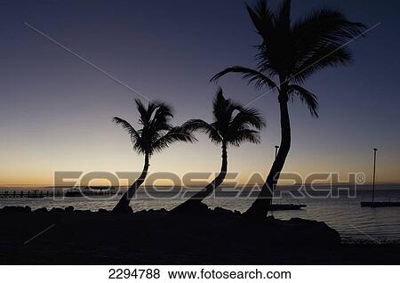 USA, Florida, Florida Keys, Sunrise over pier and boat dock; Islamorada View Large Photo Image Stock Photo - USA, Florida, Florida Keys, Sunrise over pier and boat dock; Islamorada. Fotosearch