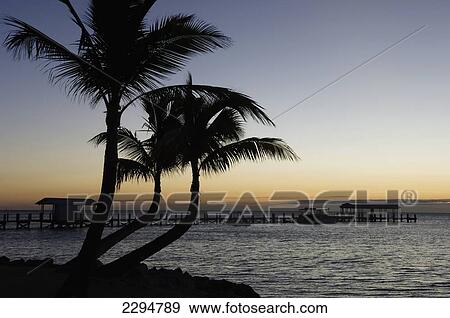 Stock Photo - USA, Florida, Florida Keys, Sunrise over pier and boat dock; Islamorada. Fotosearch