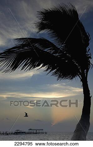Stock Photography - USA, Florida, Florida Keys, Sunrise over pier and boat dock at luxurious Cheeca Lodge; Islamorada. Fotosearch