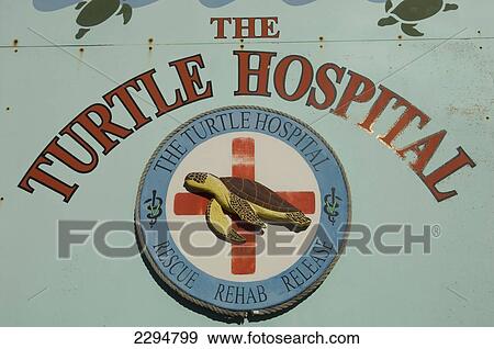 USA, Florida, Florida Keys, Turtle Hospital; Marathon View Large Photo Image Stock Photo - USA, Florida, Florida Keys, Turtle Hospital; Marathon. Fotosearch