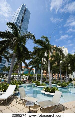 USA., Florida, swimming pool and palm trees in Downtown; Miami, hotels, High rise buildings View Large Photo Image Picture - USA., Florida, swimming pool and palm trees in Downtown; Miami, hotels, High rise buildings. Fotosearch