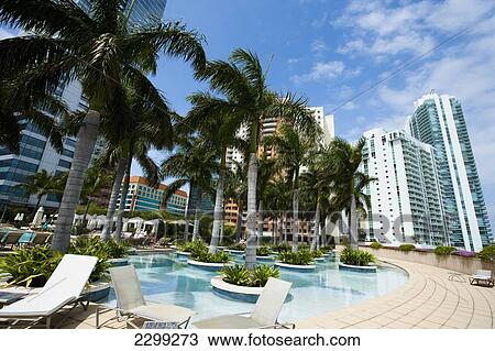 USA., Florida, swimming pool and palm trees in Downtown; Miami, hotels, High rise buildings View Large Photo Image Stock Image - USA., Florida, swimming pool and palm trees in Downtown; Miami, hotels, High rise buildings. Fotosearch