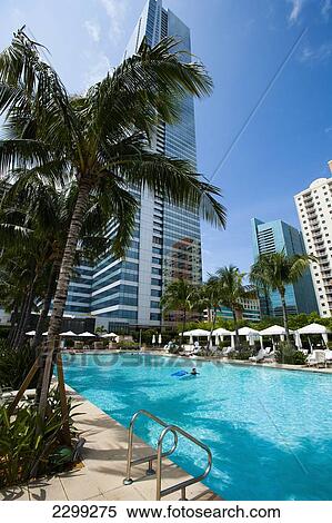 USA., Florida, swimming pool and palm trees in Downtown; Miami, hotels, High rise buildings View Large Photo Image Stock Photography - USA., Florida, swimming pool and palm trees in Downtown; Miami, hotels, High rise buildings. Fotosearch