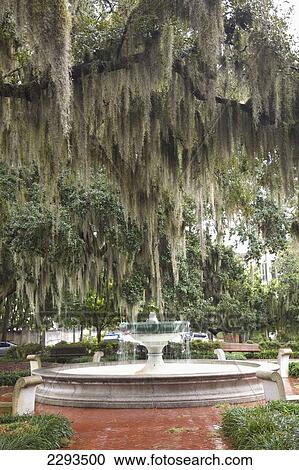 Usa, Georgia, Fountain In Park; Savannah View Large Photo Image Stock Image - Usa, Georgia, Fountain In Park; Savannah. Fotosearch