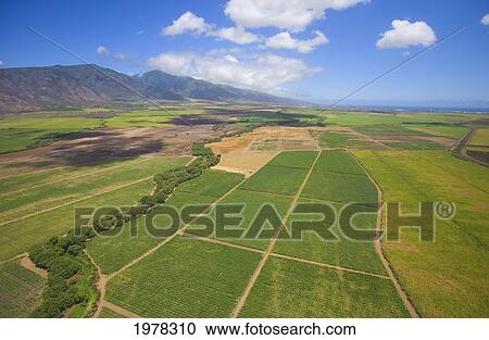 USA, Hawaii, Aerial view of inland fields; Maui View Large Photo Image Stock Image - USA, Hawaii, Aerial view of inland fields; Maui. Fotosearch