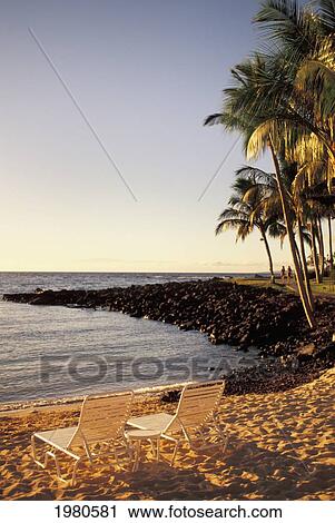 USA, Hawaii, Beach chairs on beach near palm trees at Mauna Lani Resort; Big Island View Large Photo Image Stock Image - USA, Hawaii, Beach chairs on beach near palm trees at Mauna Lani Resort; Big Island. Fotosearch