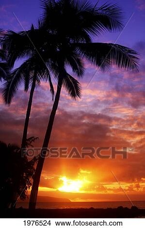 USA, Hawaii, Beautiful Sunset; Oahu View Large Photo Image Picture - USA, Hawaii, Beautiful Sunset; Oahu. Fotosearch