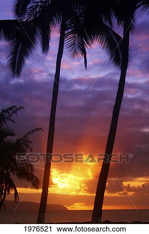 Usa Hawaii Beautiful Sunset Oahu Stock Image Fotosearch