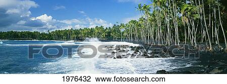Stock Image - USA, Hawaii, Big Island, Hawaii Volcanoes National Park; Kalapana, Ocean Surf Crashing On Kalapana Black Sand Beach. Fotosearch