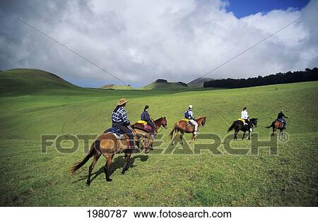 Stock Photo - USA, Hawaii, Big Island, Horseback riders traveling over grassy hills; Kohala Mountains. Fotosearch