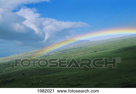 Stock Image - USA, Hawaii, Big Island, Kohala, mountain in background; Waimea, Rainbow over grass. Fotosearch