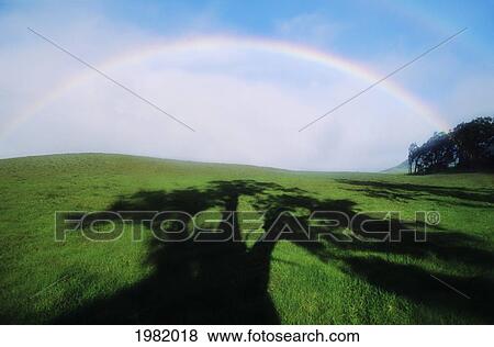 USA, Hawaii, Big Island, Rainbow over green pasture with shadow of tree; North Kohala View Large Photo Image Stock Photo - USA, Hawaii, Big Island, Rainbow over green pasture with shadow of tree; North Kohala. Fotosearch