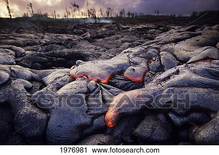 Stock Image - USA, Hawaii, Big Island, USA Volcanoes National Park; Kilauea, Hawaii, Kilauea Area, Expanse Of Pahoehoe Lava. Fotosearch