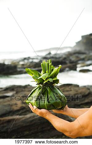 USA, Hawaii, close up of hands; Oahu, Man holding hawaiian offering at shoreline View Large Photo Image Stock Photo - USA, Hawaii, close up of hands; Oahu, Man holding hawaiian offering at shoreline. Fotosearch