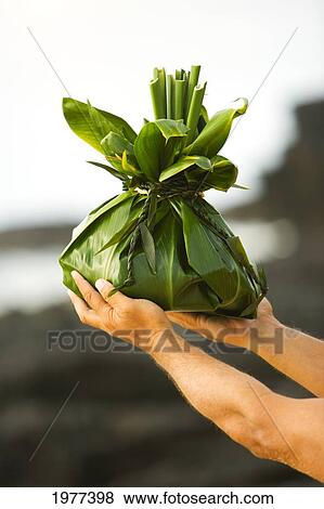 USA, Hawaii, close up of hands; Oahu, Man holding hawaiian offering at shoreline View Large Photo Image Stock Photo - USA, Hawaii, close up of hands; Oahu, Man holding hawaiian offering at shoreline. Fotosearch