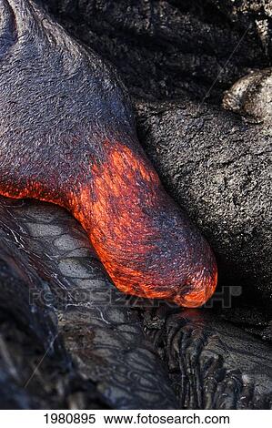 USA, Hawaii, Close up of molten Pahoehoe lava from Kilauea Volcano in Hawaii Volcanoes National Park; Big Island View Large Photo Image Stock Photography - USA, Hawaii, Close up of molten Pahoehoe lava from Kilauea Volcano in Hawaii Volcanoes National Park; Big Island. Fotosearch