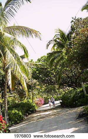Stock Image - USA, Hawaii, Couple Walking Down Lush Beach Front Road; Kona. Fotosearch