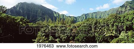 Stock Image - USA, Hawaii, Haiku Gardens In Foreground; Oahu, Koolau Mountains. Fotosearch