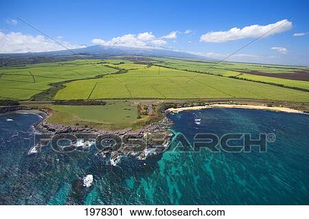 USA, Hawaii, Haleakala in distance; Maui, Hookipa Beach Park View Large Photo Image Stock Image - USA, Hawaii, Haleakala in distance; Maui, Hookipa Beach Park. Fotosearch