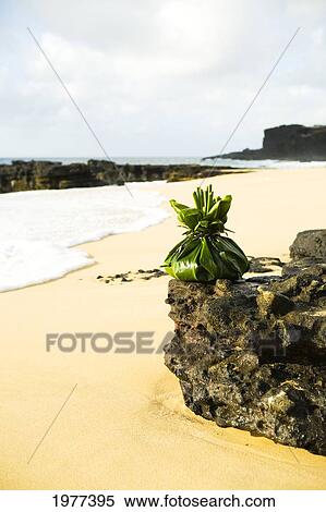 Stock Photography - USA, Hawaii, Hawaiian offering on rock at shoreline; Oahu, Sandy beach. Fotosearch