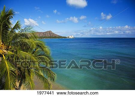 USA, Hawaii, Honolulu, View of Diamond Head; Waikiki View Large Photo Image Stock Image - USA, Hawaii, Honolulu, View of Diamond Head; Waikiki. Fotosearch