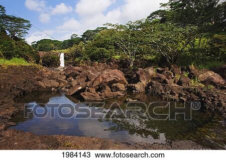 USA, Hawaii Islands, Big Island, Hilo, Pe'e Pe'e Falls at boiling pots; Wailuku River State Park View Large Photo Image Stock Image - USA, Hawaii Islands, Big Island, Hilo, Pe'e Pe'e Falls at boiling pots; Wailuku River State Park. Fotosearch