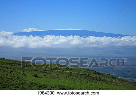 USA, Hawaii Islands, Big Island, View of Mauna Kea from green hillside; North Kohala View Large Photo Image Stock Image - USA, Hawaii Islands, Big Island, View of Mauna Kea from green hillside; North Kohala. Fotosearch