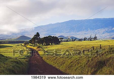 Stock Photo - USA, Hawaii Islands, Big Island, View of Kohala Mountain from Mana Road; Waimea. Fotosearch