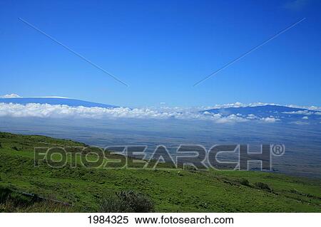 Stock Photography - USA, Hawaii Islands, Big Island, View of Mauna Kea And Mauna Loa from green hillside; North Kohala. Fotosearch