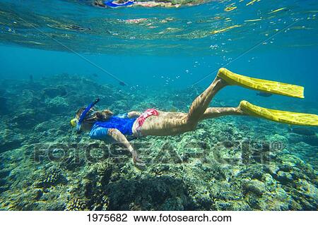 Stock Image - USA, Hawaii Islands, Maui, Ahihi Kinau Natural Area Reserve; Makena, View From Side, Snorkeler Swimming Over Reef. Fotosearch
