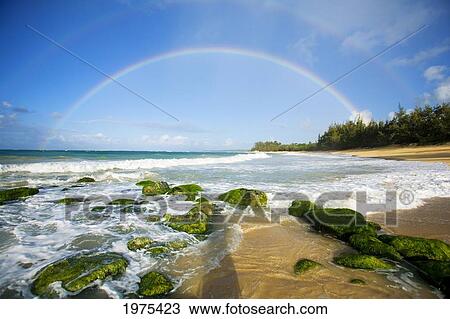 USA, Hawaii Islands, Maui, Double Rainbows; Baldwin Beach View Large Photo Image Stock Image - USA, Hawaii Islands, Maui, Double Rainbows; Baldwin Beach. Fotosearch