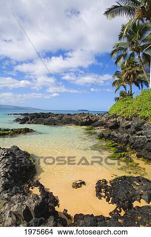 Picture - USA, Hawaii Islands, Maui, Shallow Ocean Water Surrounded By Rocks; Makena, Maui Wai Or Secret Beach. Fotosearch