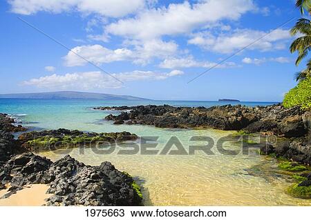 USA, Hawaii Islands, Maui, Shallow Ocean Water Surrounded By Rocks And Sand; Makena, Maui Wai Or Secret Beach View Large Photo Image Stock Image - USA, Hawaii Islands, Maui, Shallow Ocean Water Surrounded By Rocks And Sand; Makena, Maui Wai Or Secret Beach. Fotosearch
