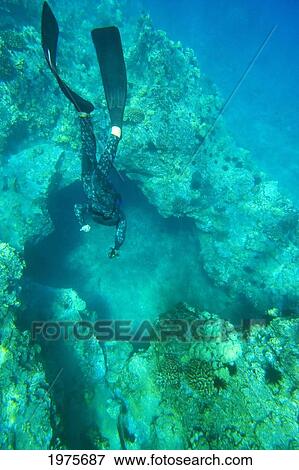 Stock Photo - USA, Hawaii Islands, Maui, Spearfisher Diving Into Hole In Reef; Makena. Fotosearch