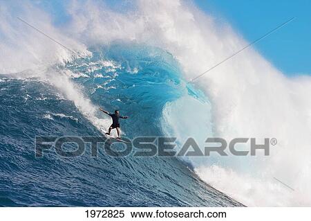 USA, Hawaii Islands, Maui, Surfer On Huge Wave; Peahi-Jaws View Large Photo Image Stock Photography - USA, Hawaii Islands, Maui, Surfer On Huge Wave; Peahi-Jaws. Fotosearch