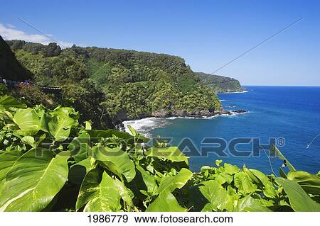 Stock Photo - USA, Hawaii Islands, Maui, View of Northern Coast along road to Hana; Keanae Peninsula. Fotosearch