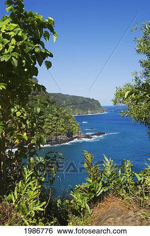 Stock Photograph - USA, Hawaii Islands, Maui, View of Northern Coast along road to Hana; Keanae Peninsula. Fotosearch