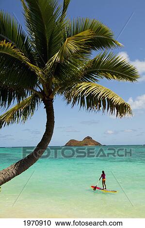 Stock Image - USA, Hawaii Islands, Oahu, Female Stand Up Paddler On Her Way To Mokulua Islands; Lanikai Beach. Fotosearch