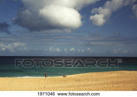 USA, Hawaii Islands, Oahu, Man And Dog Jogging On Beach; North Shore View Large Photo Image Stock Photograph - USA, Hawaii Islands, Oahu, Man And Dog Jogging On Beach; North Shore. Fotosearch