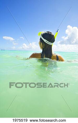 USA, Hawaii Islands, Oahu, Young Woman Wearing Snorkel Gear In Ocean; Lanikai View Large Photo Image Stock Photo - USA, Hawaii Islands, Oahu, Young Woman Wearing Snorkel Gear In Ocean; Lanikai. Fotosearch
