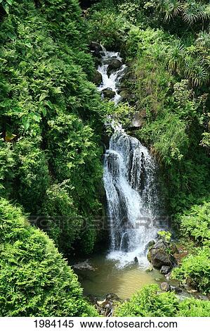 USA, Hawaii Islands, One of many waterfalls along Hamakua Coast with water cascading into pond; Big Island View Large Photo Image Stock Photography - USA, Hawaii Islands, One of many waterfalls along Hamakua Coast with water cascading into pond; Big Island. Fotosearch