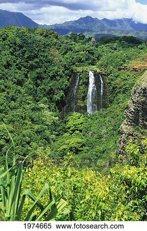 USA, Hawaii Islands, Opaekaa Falls Surrounded By Lush Greenery; Kauai View Large Photo Image Stock Photography - USA, Hawaii Islands, Opaekaa Falls Surrounded By Lush Greenery; Kauai. Fotosearch