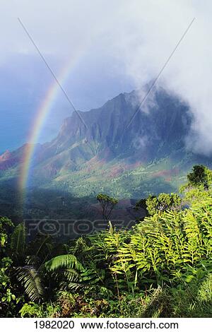 USA, Hawaii, Kauai, Kalalau Valley viewpoint in Kokee State Park with rainbow; Na Pali Coast View Large Photo Image Stock Image - USA, Hawaii, Kauai, Kalalau Valley viewpoint in Kokee State Park with rainbow; Na Pali Coast. Fotosearch