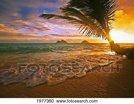 USA, Hawaii, Lanikai Beach at sunrise; Oahu View Large Photo Image Stock Image - USA, Hawaii, Lanikai Beach at sunrise; Oahu. Fotosearch